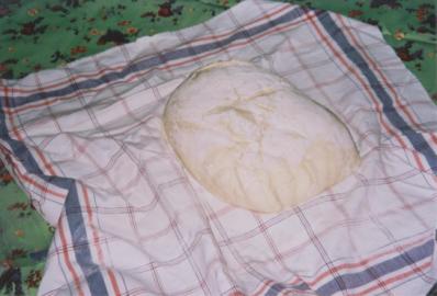 http://www.laculladispago.it/la%20pasta%20%20pronta.jpg