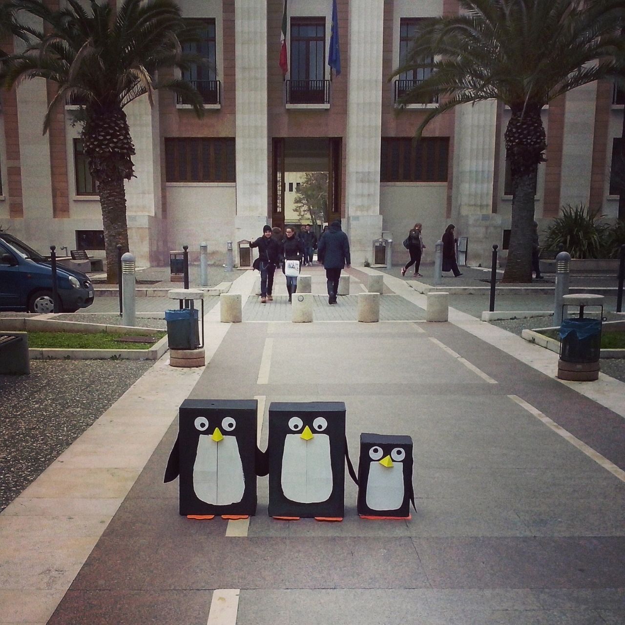 pinguini davanti al policlinico